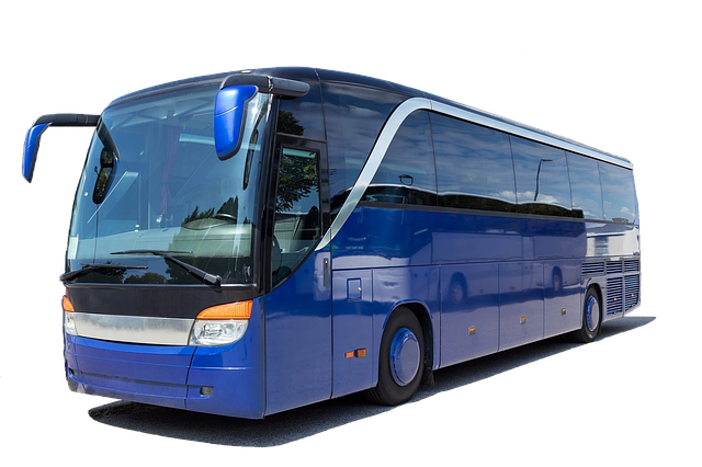 modrý bus